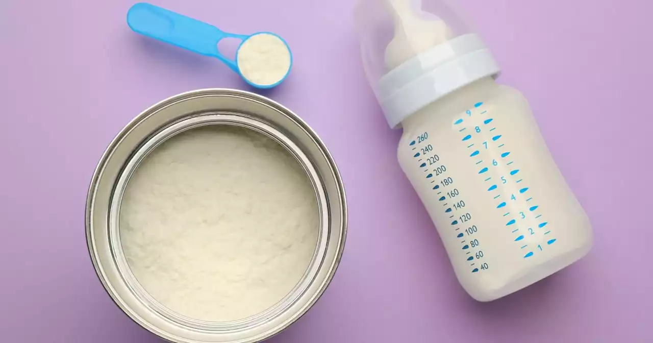 The Best Baby Formula of 2023, According to Reviewers