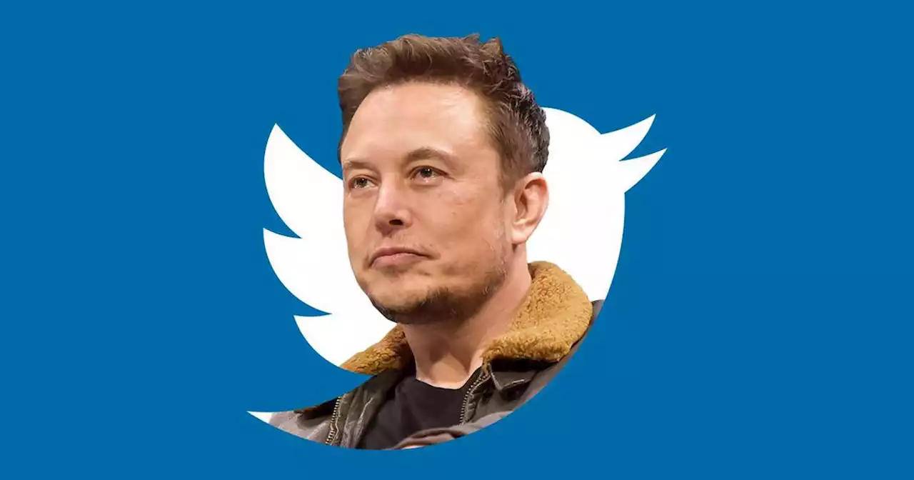 Elon Musk admite que no fue una decisión financiera astuta comprar Twitter