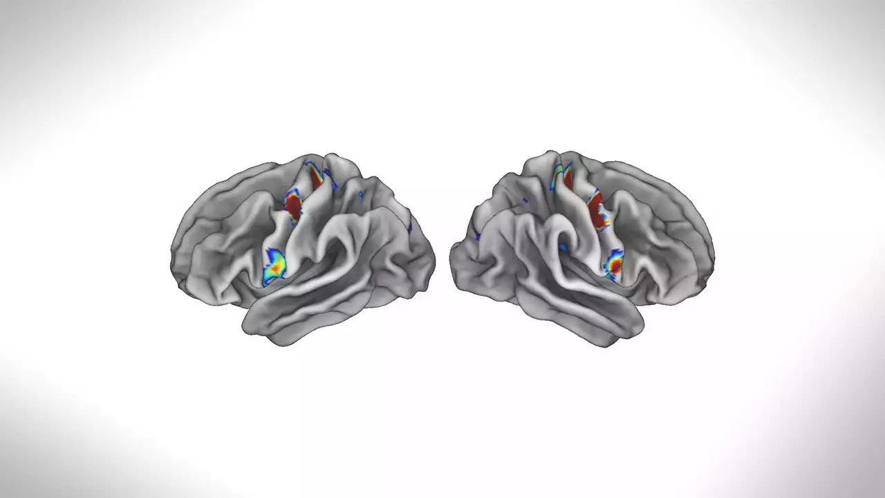 Scientists identify mind-body nexus in human brain