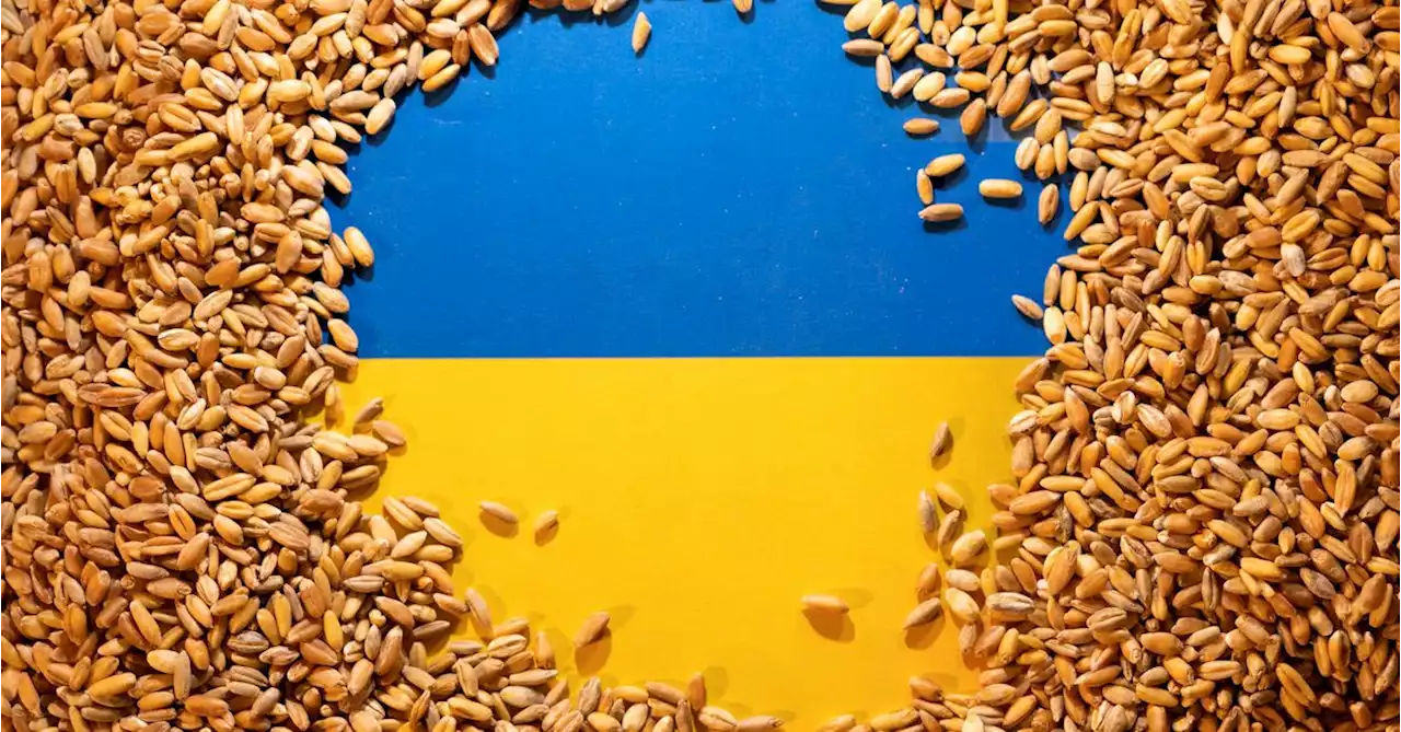 Hungary calls for EU aid to help Ukrainian grain transit