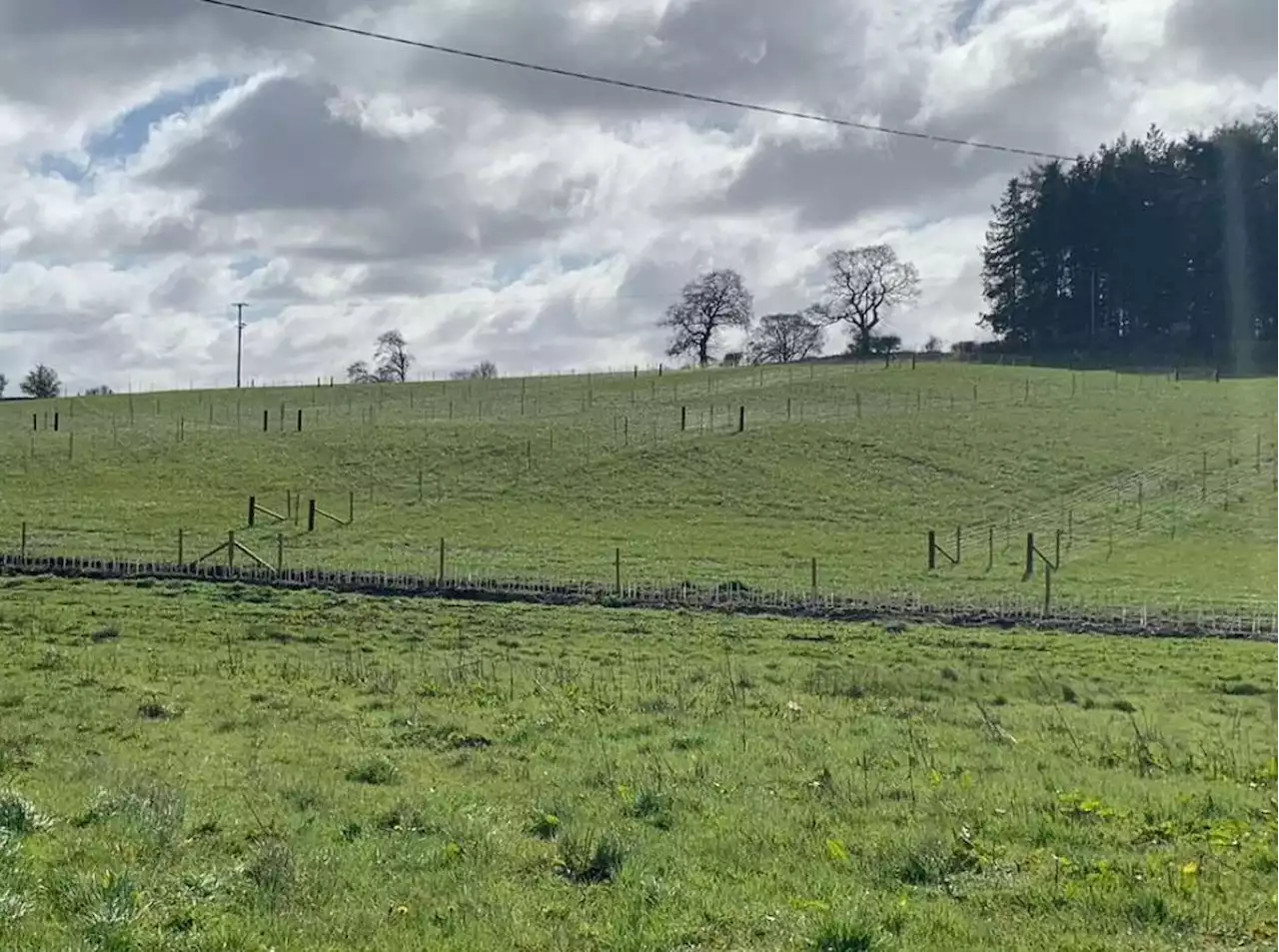 Shropshire field being turned into orchard in bid to drive wildlife renewal