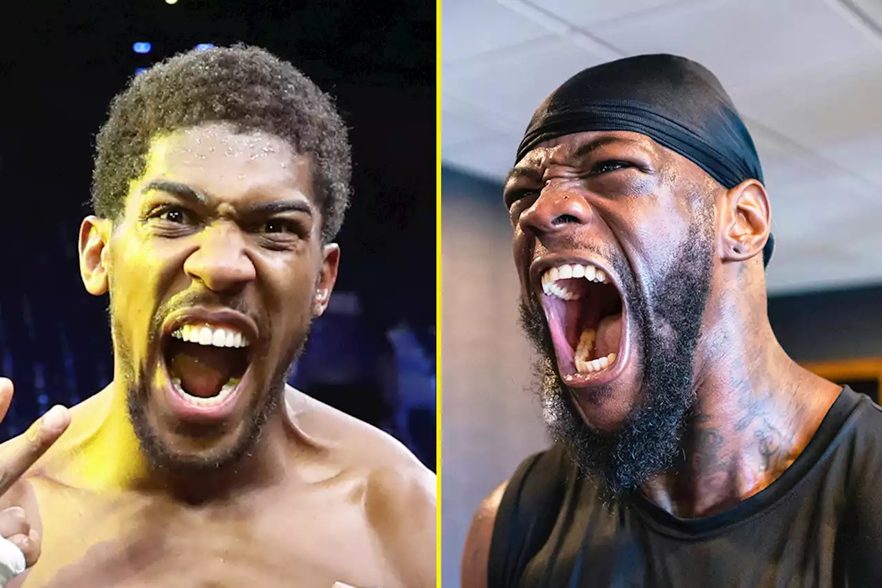 Deontay Wilder promises 'special punch' for Anthony Joshua as he breaks silence on rumours