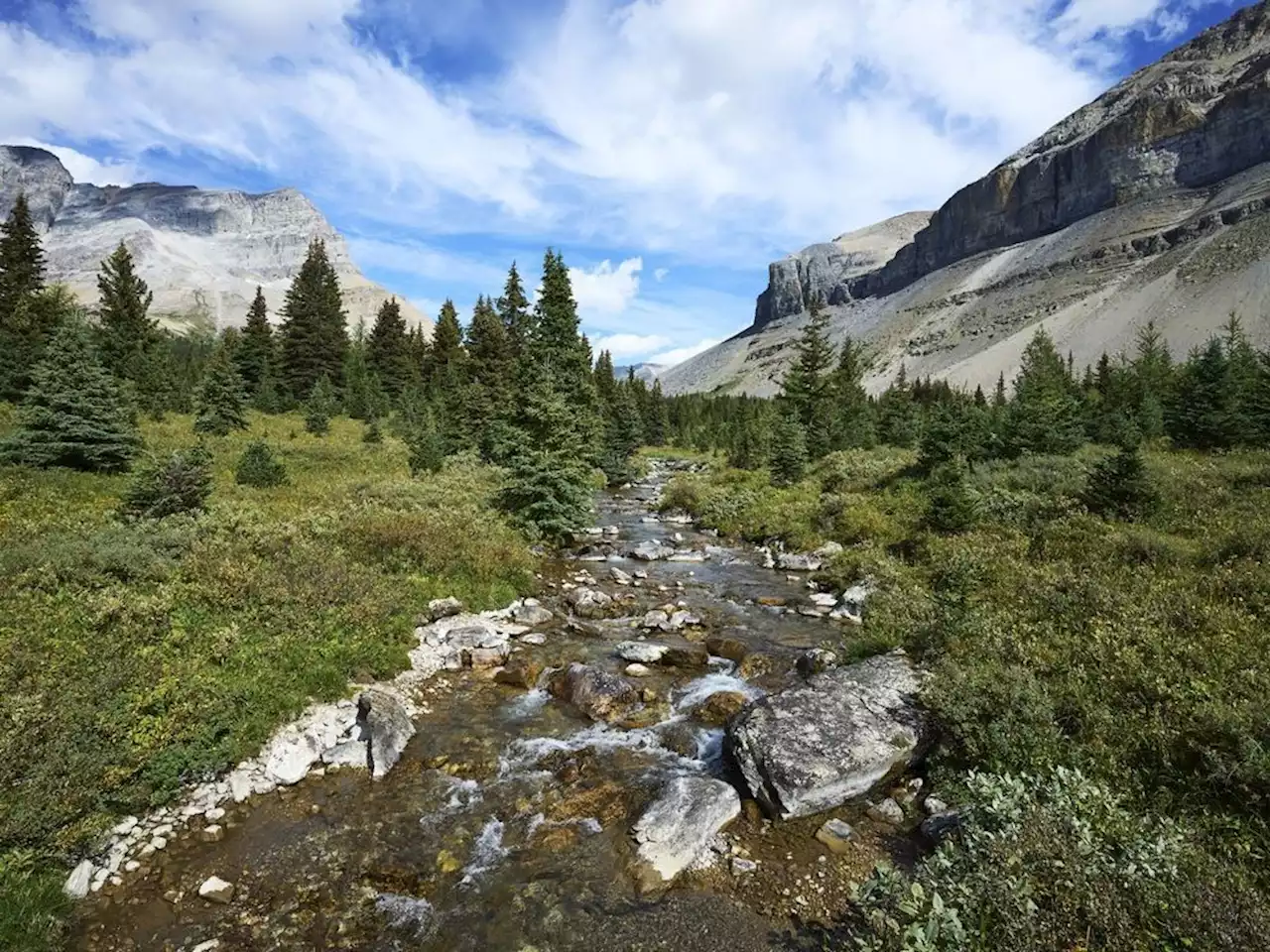 Alberta judge fines ex-TV show contestant $6Gs for catching trout in national park