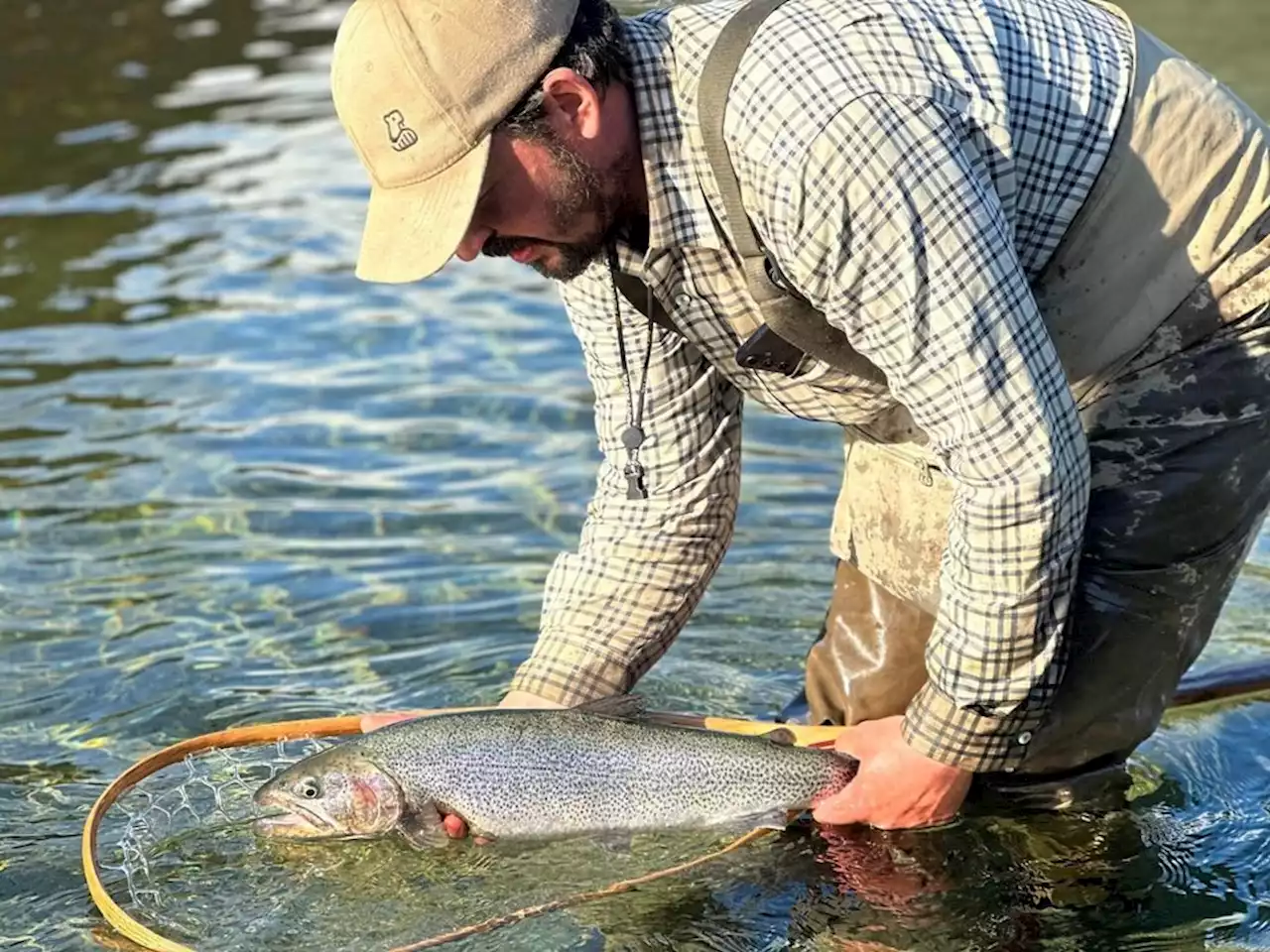 Company that set up illegal fish farm to get second chance, says B.C. government