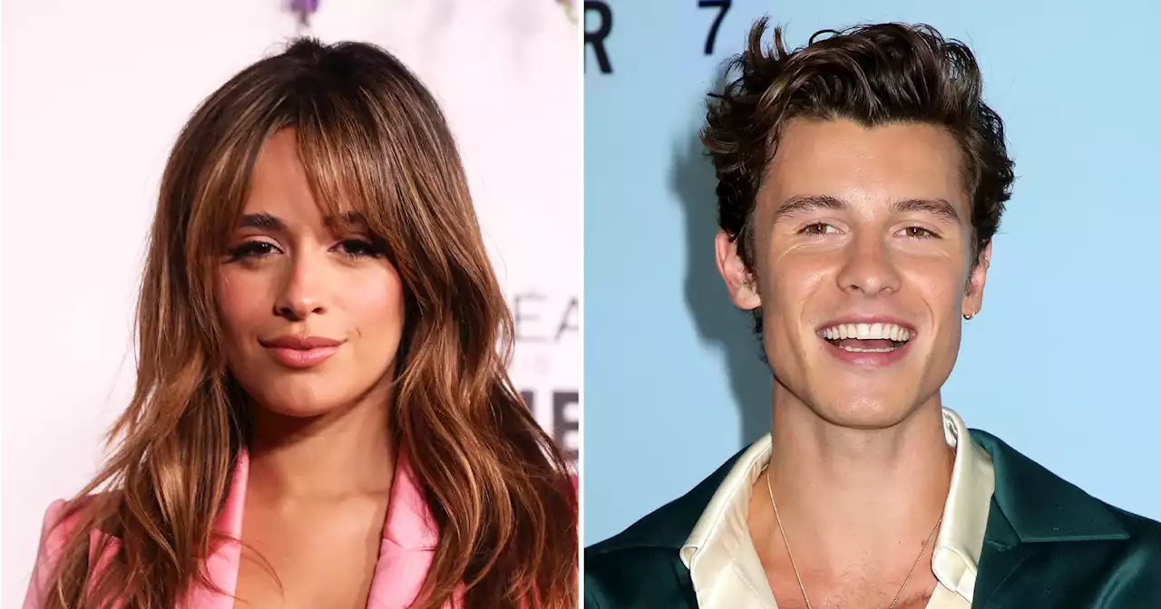 Camila Cabello Seemingly Hints at Shawn Mendes Coachella Kiss on New Song