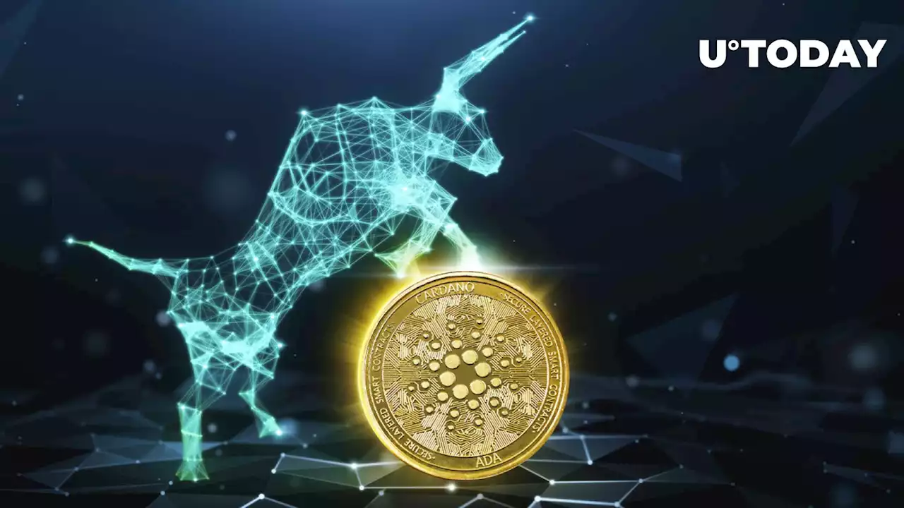 Cardano Bulls Take Hit as Whopping 20.38 Billion ADA Sold Off