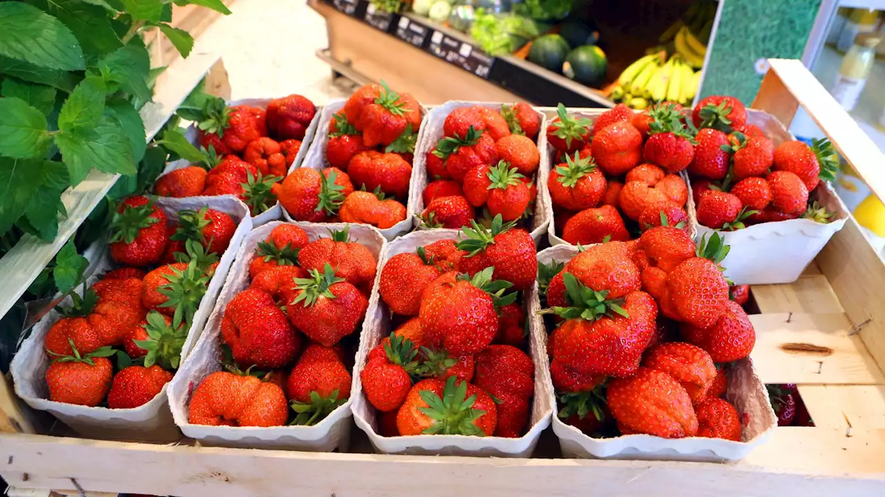 Öko-Test: Erdbeeren mit Pestiziden und schlechter Klimabilanz