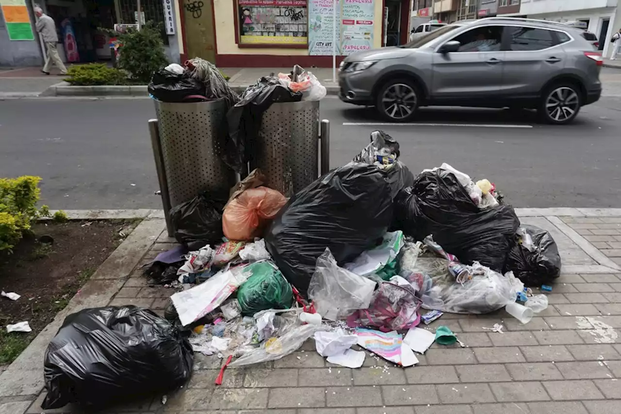 Ciudadanos denuncian plaga de ratas e insalubridad en el barrio el Chicó de Bogotá