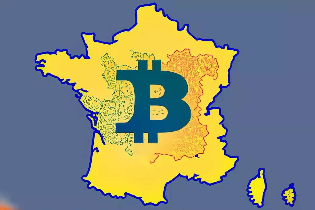 Bitcoin : découvrez combien de Français ont investi dans la crypto