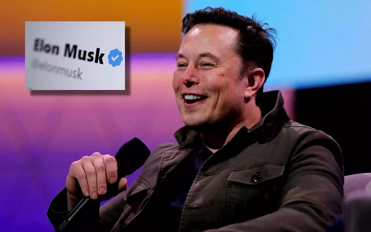 Elon Musk confiesa que paga verificación azul en Twitter de algunos famosos