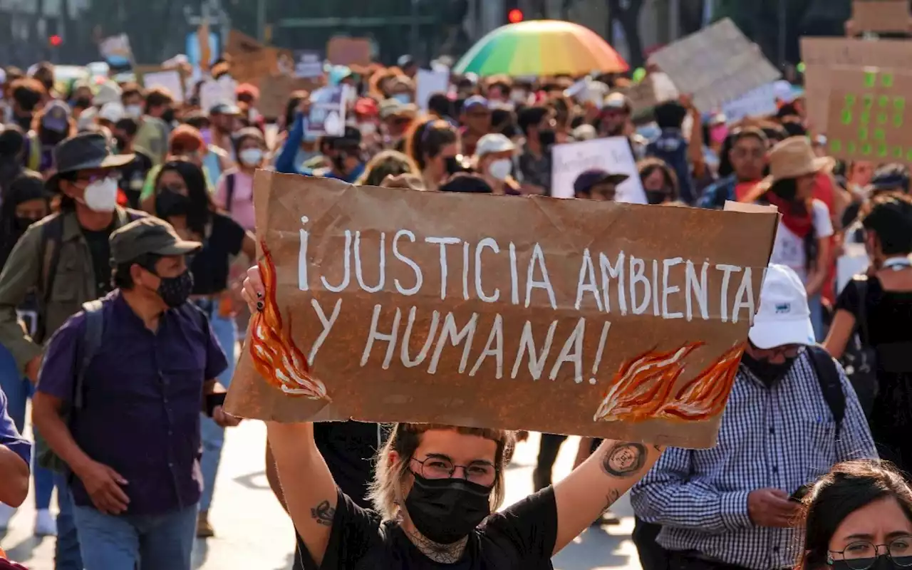 México: 2022, el año más letal para defensores ambientales