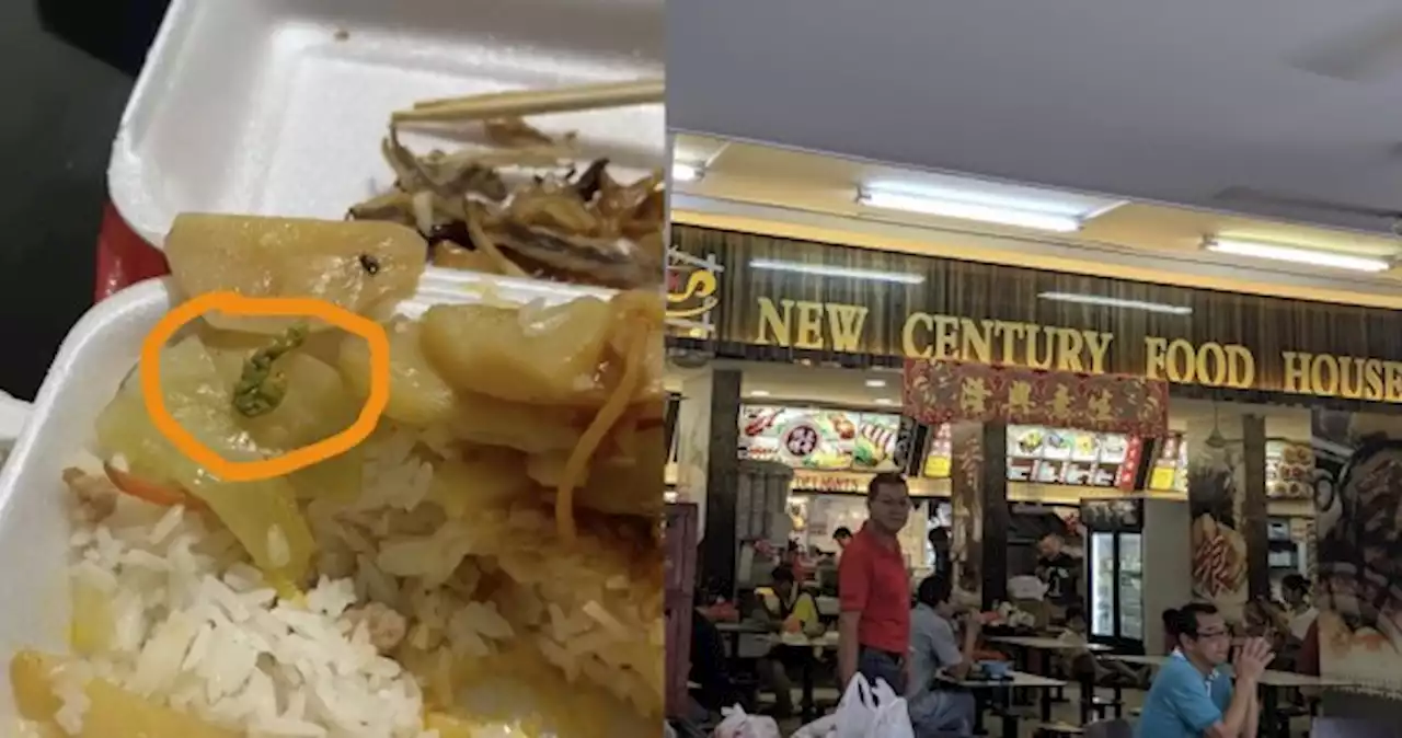 'Lost my appetite immediately': Woman finds dead caterpillar inside economy rice from Bedok stall