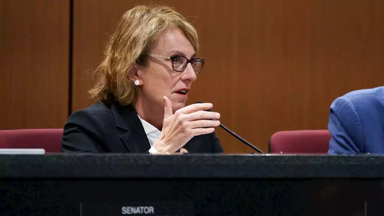 Reporter investigating where state Sen. Wendy Rogers lives in Arizona hit with restraining order