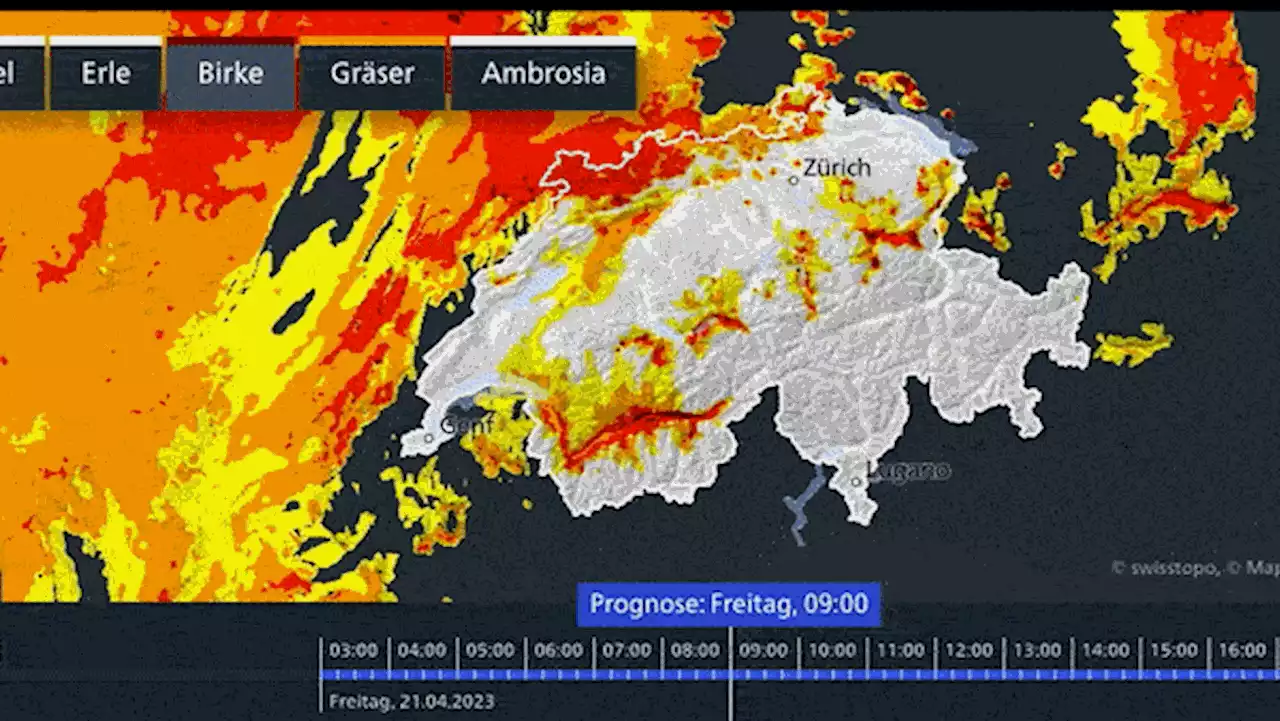 Weltpremiere bei Meteo Schweiz – Der Pollenflug lässt sich live beobachten – wie Allergiker davon profitieren