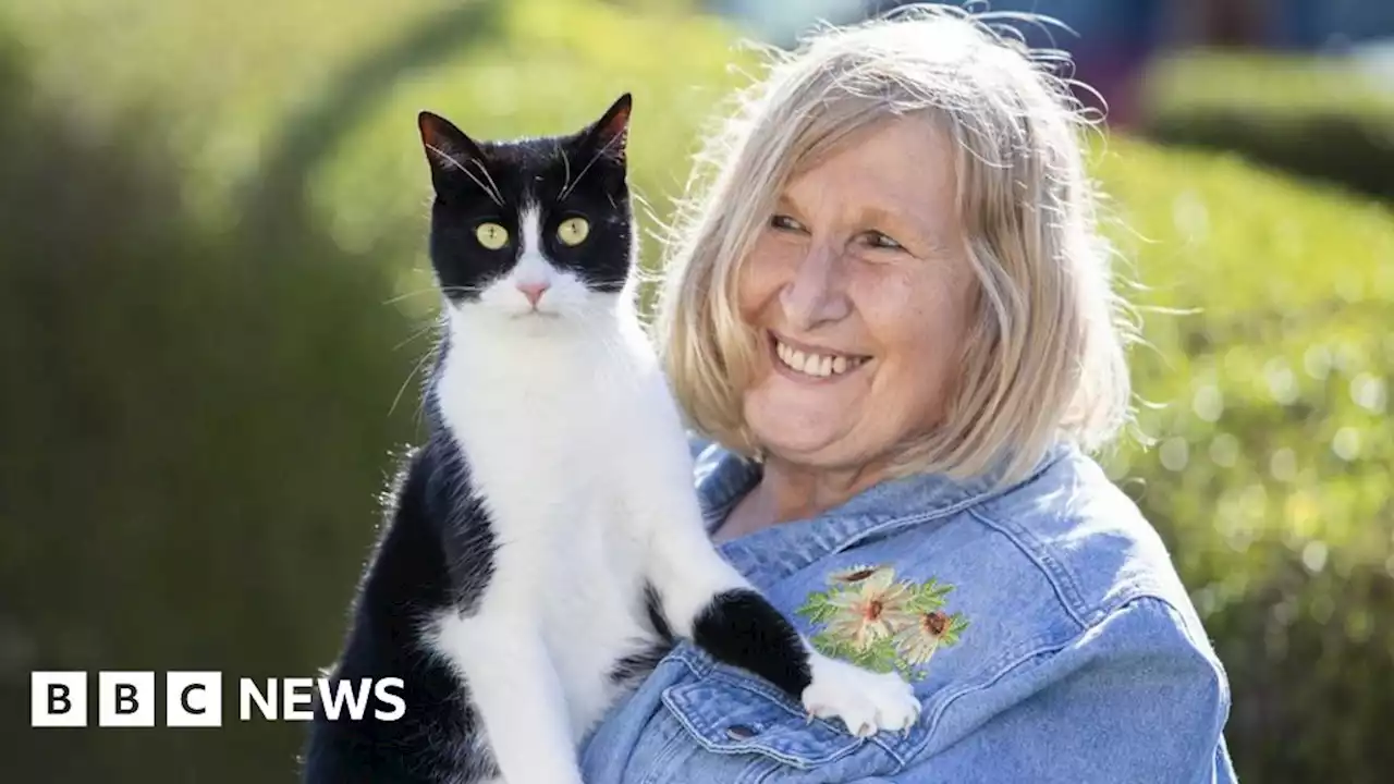 Support cat Zebby alerts deaf owner to phone calls