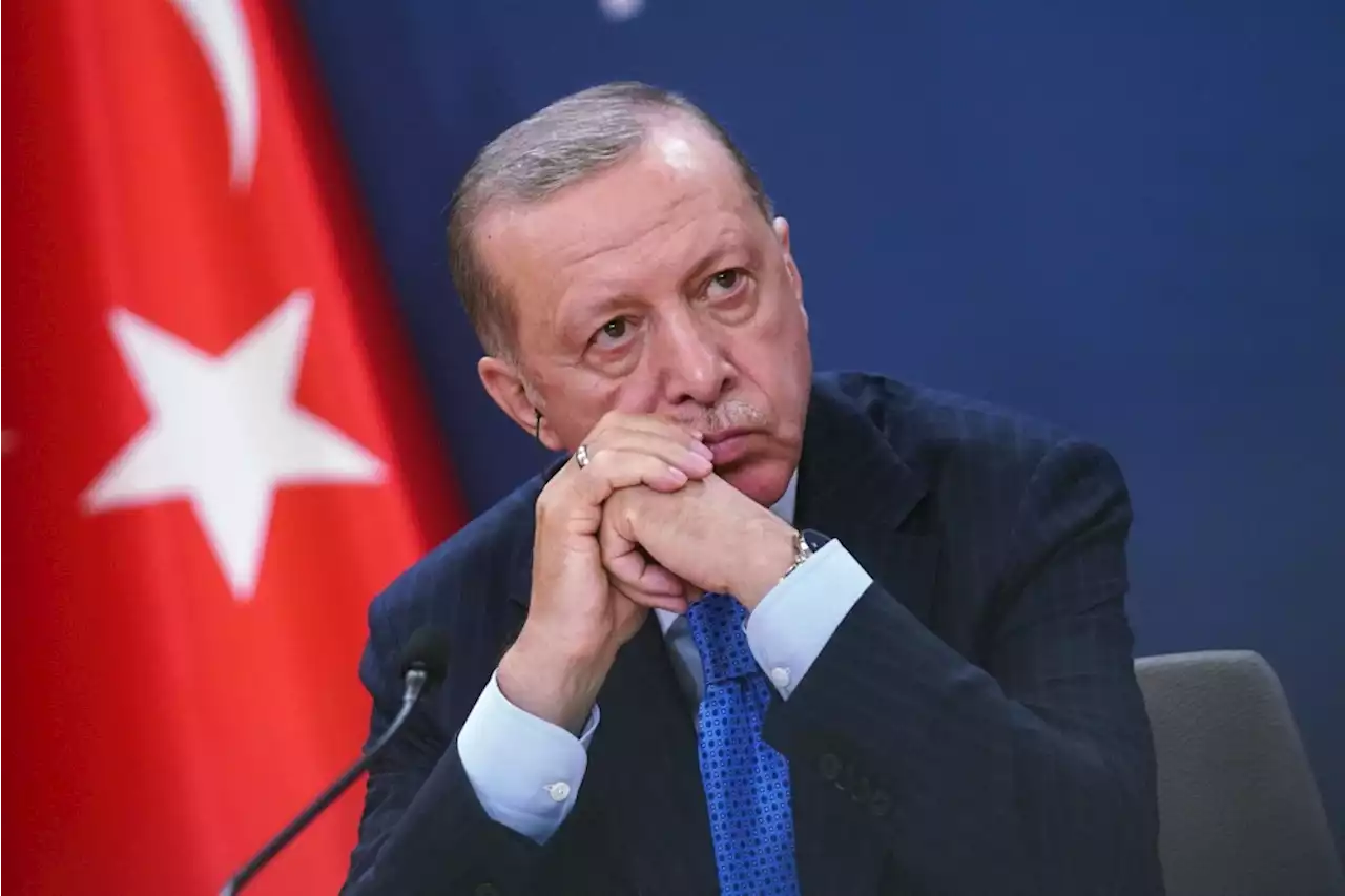 Erdogan Telepon Pemimpin Militer Sudan, Desak Lindungi Warga Turki