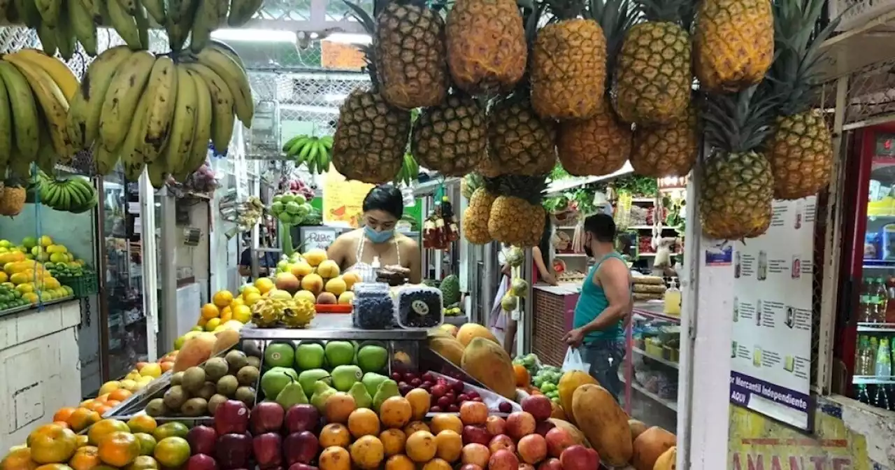 Qué orgullo: con tecnología, emprendimiento colombiano podría mitigar crisis alimentaria mundial