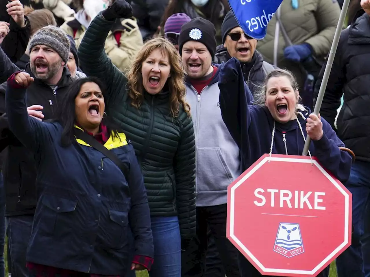 Federal public service strike affecting grain inspections: Canadian Grain Commission