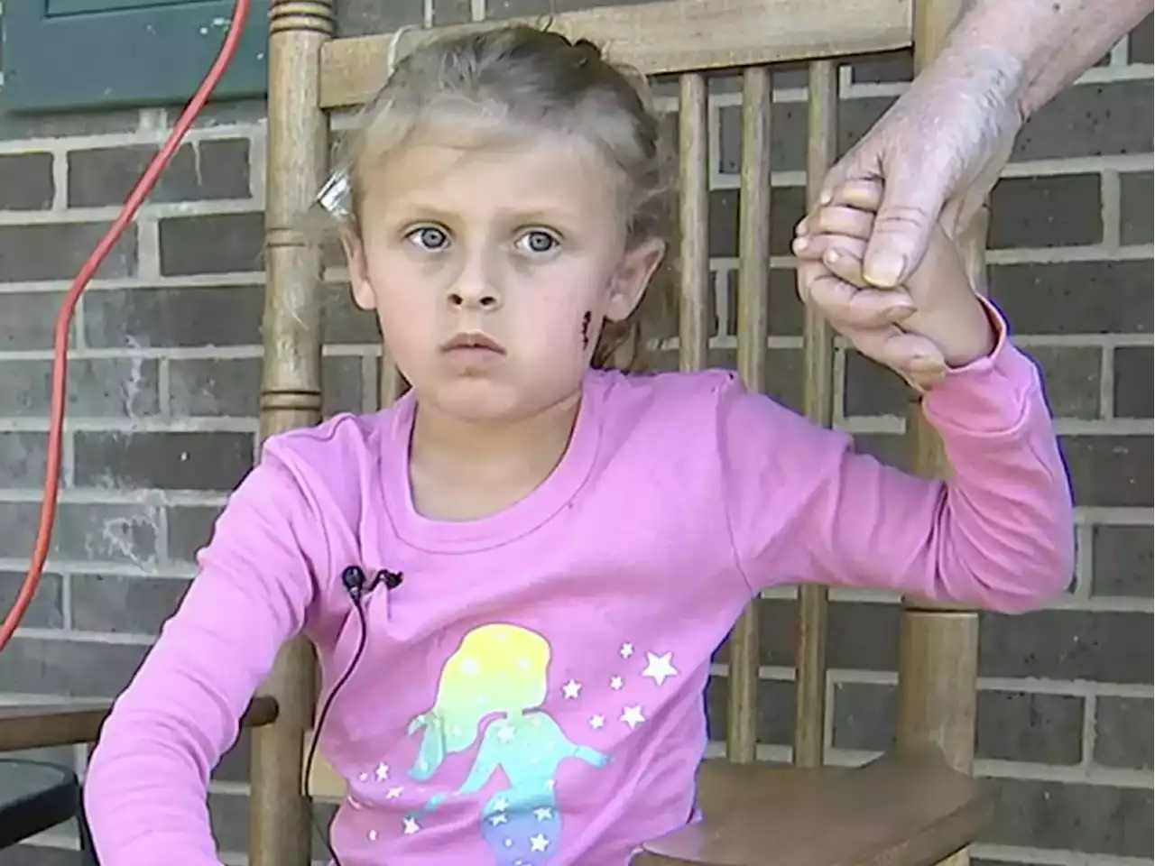 Angry neighbour allegedly shot little girl, parents over basketball rolling into yard