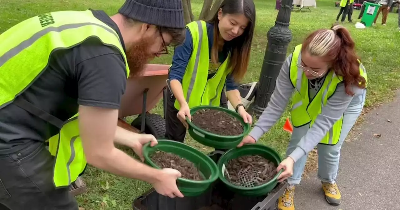 Earth Day 2023: Berry bash, Climate cruise and other ways to celebrate around NYC