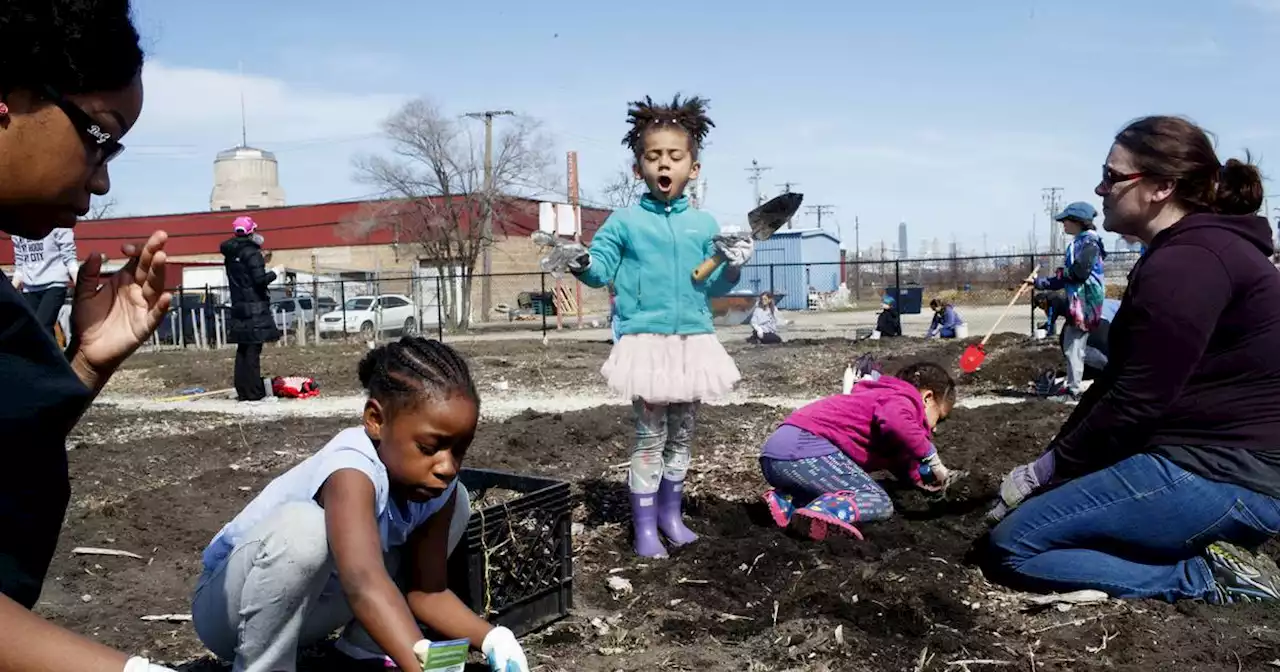 Earth Day activities: Here’s how you can do your part to help the planet