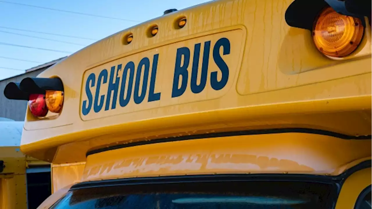 School bus driver charged with child abuse