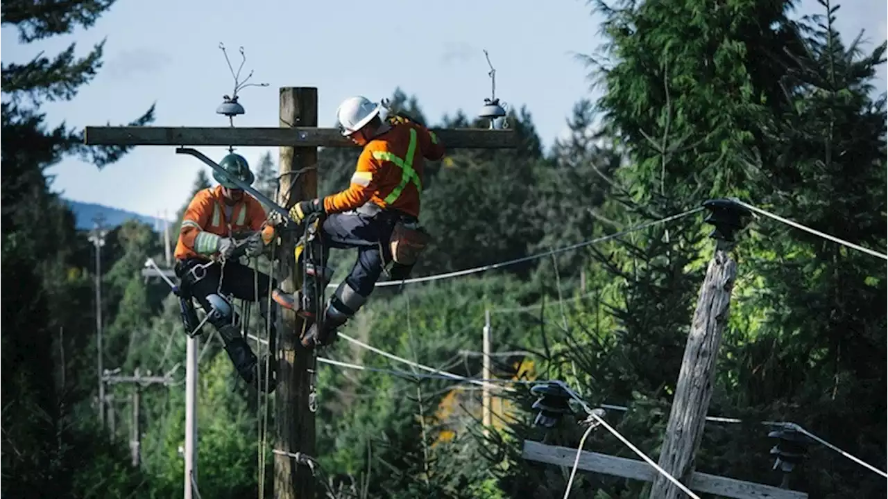 Windstorm knocks out power to thousands on Vancouver Island