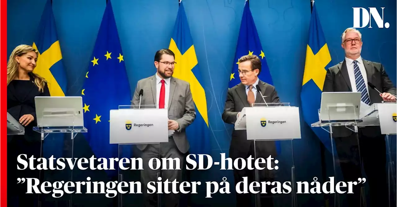 Statsvetaren om SD-hotet: ”Regeringen sitter på deras nåder”