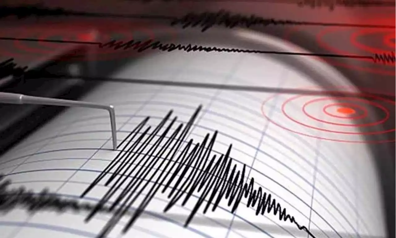 Reportan microsismo de 2.4 grados en Coyoacán