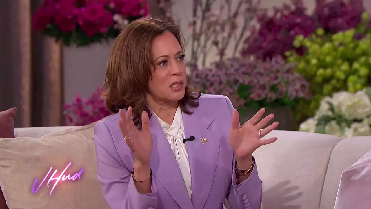 Harris claims Second Amendment support while pushing for assault weapons ban: 'Literally' weapons of war