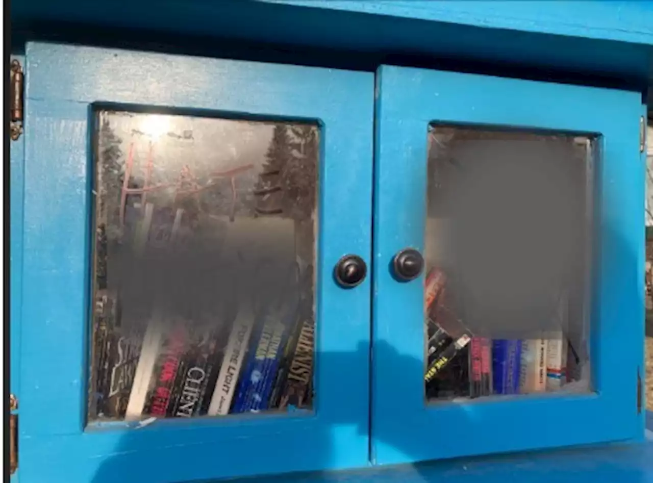 Vandals target front lawn library with white supremacy graffiti in Calgary - Calgary | Globalnews.ca