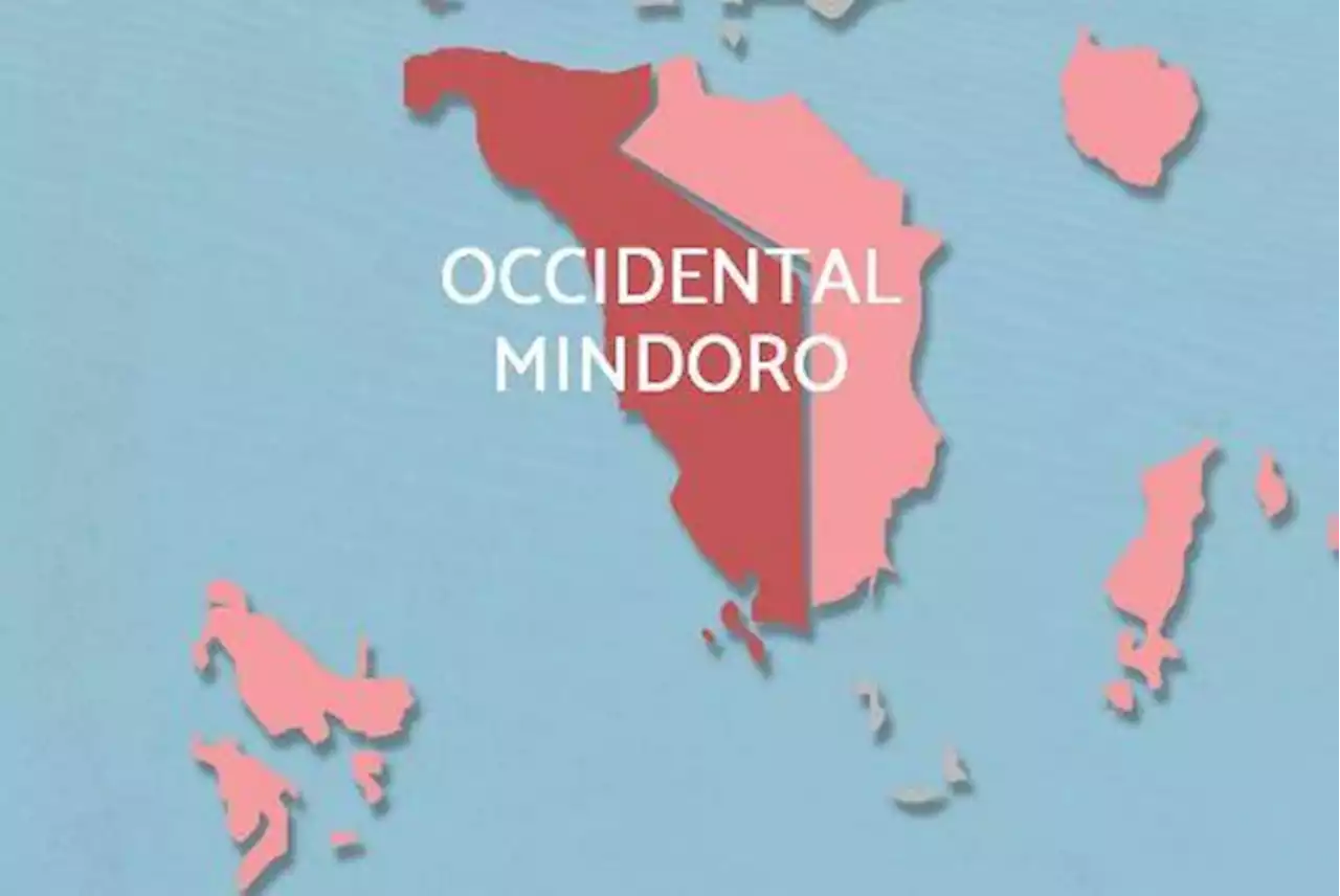 Occidental Mindoro under state of calamity due to 20-hour daily power outage