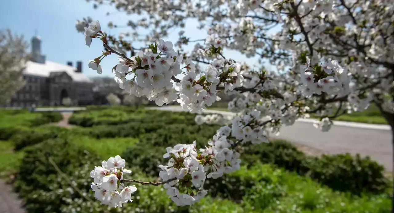 How to celebrate Earth Day in NYC: Events, outings and open streets