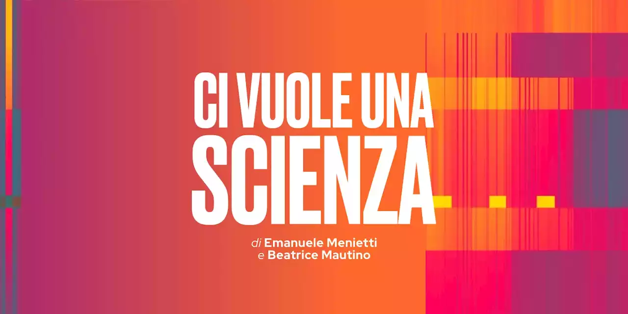 Ci vuole una scienza - Il ritorno degli orsi in Italia - Il Post