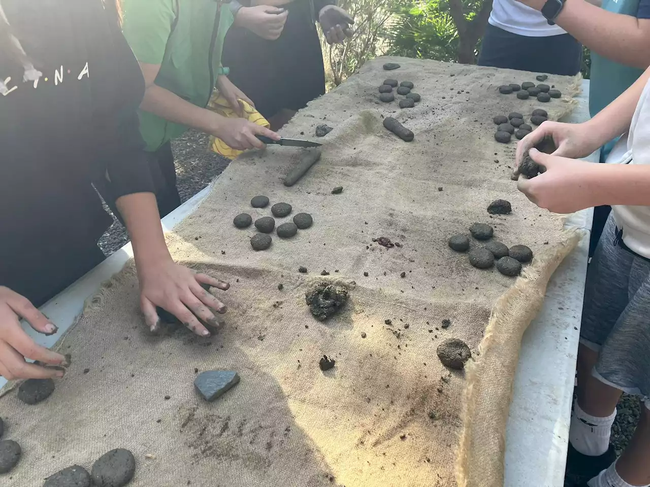 Amazon arranca en Málaga su primer proyecto medioambiental en España, bombardeando once mil semillas de algarrobo