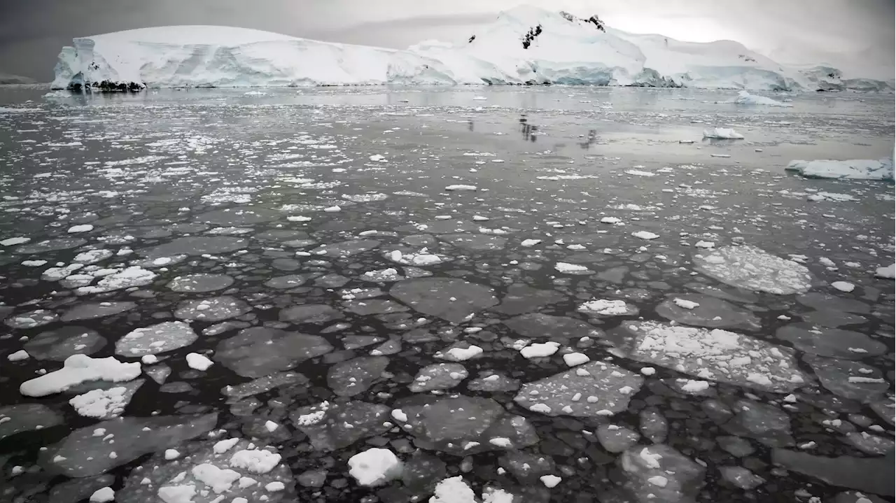 « La partie est déjà perdue pour les glaciers » : l’ONU défaitiste sur la fonte des glaces