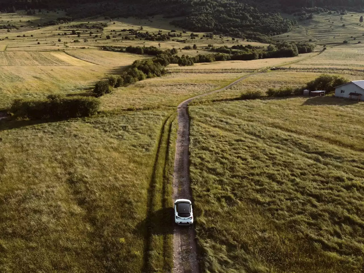 Il settore in cifre | Dall’agricoltura all’industria, la transizione green passa dalla bioeconomia - Linkiesta.it