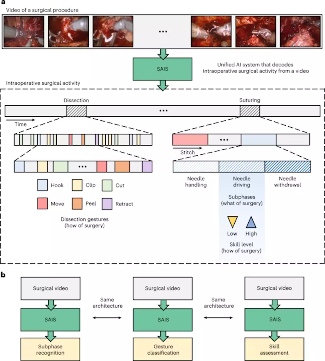 A vision transformer for decoding surgeon activity from surgical videos - Nature Biomedical Engineering