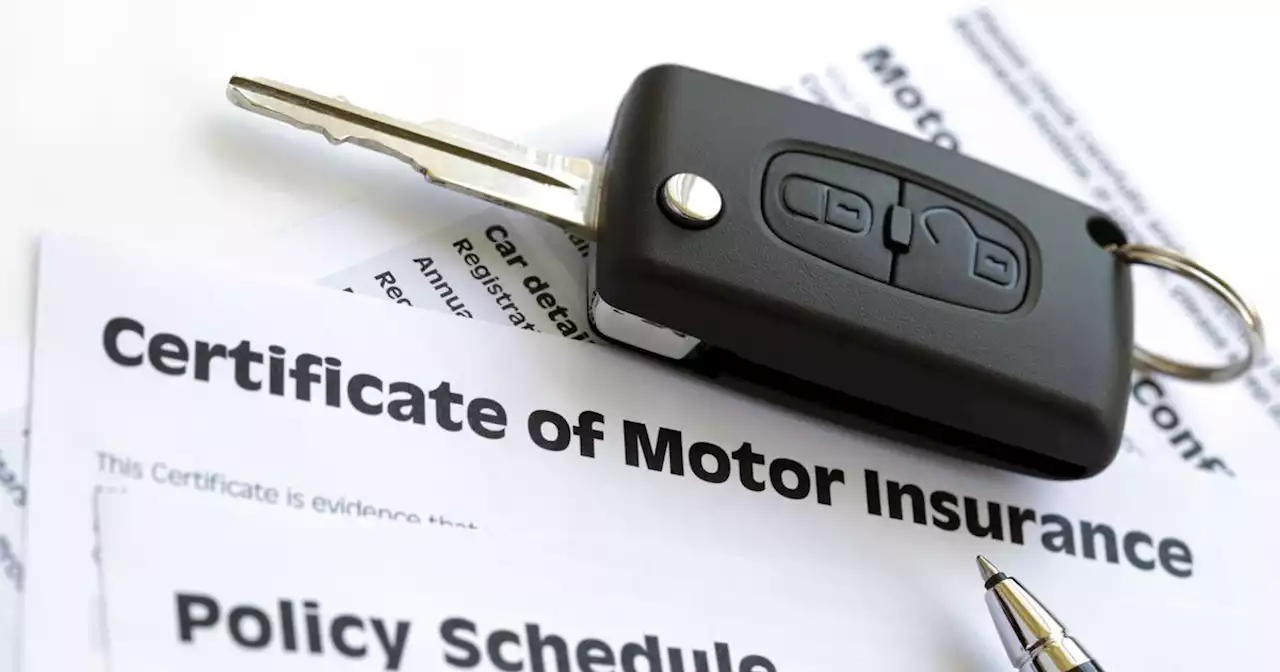 Experts share how new drivers can get cheaper car insurance