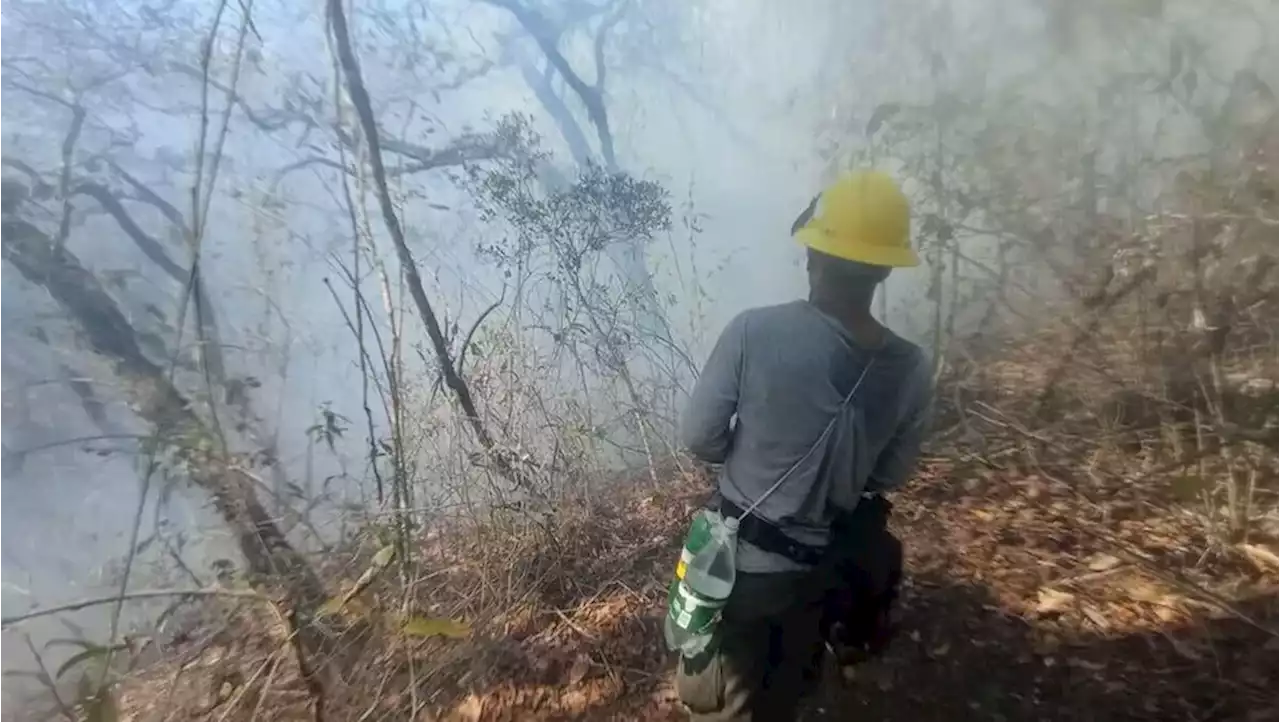 Incendio forestal afecta cinco hectáreas en Tuxtla Gutiérrez, Chiapas