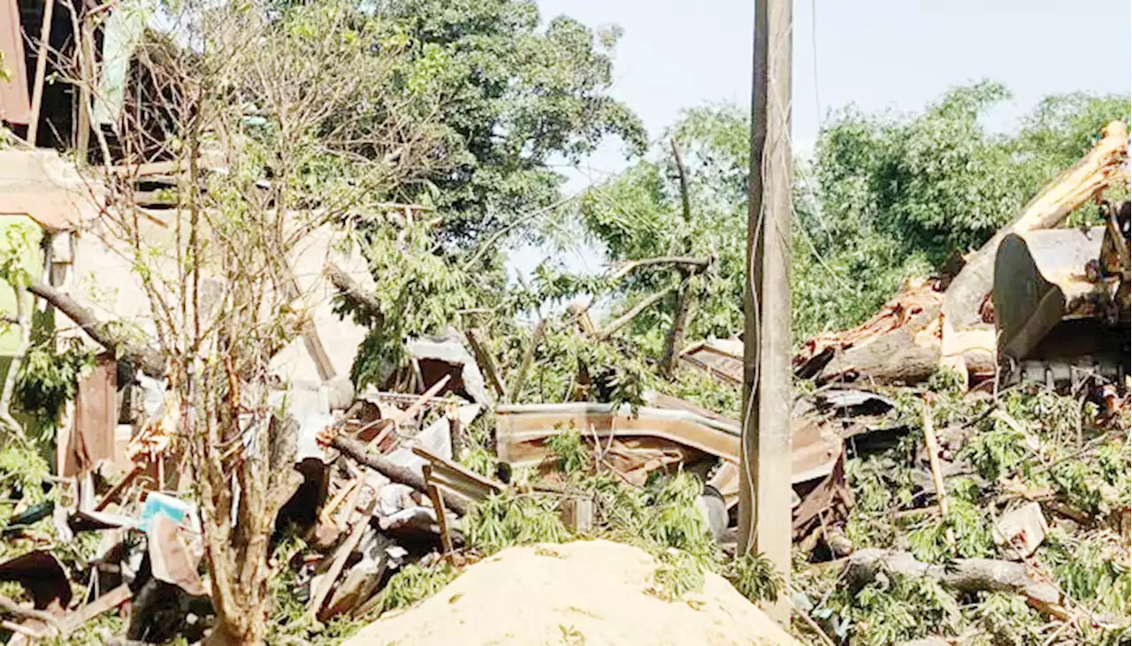 Delta rainstorm kills six as flood sweeps 10-year-old boy away