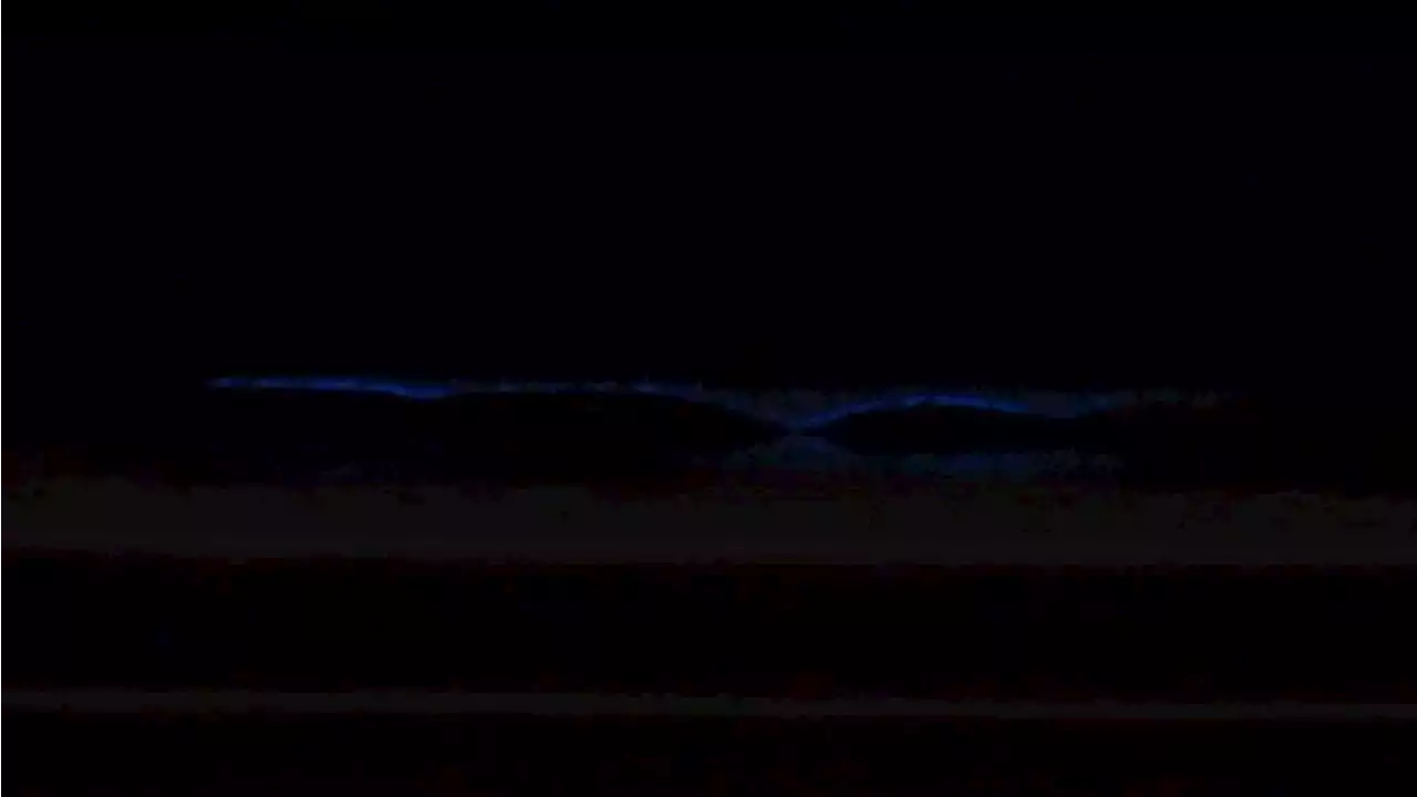 Blue Waves Are Back: Bioluminescence Returns to San Diego Beaches