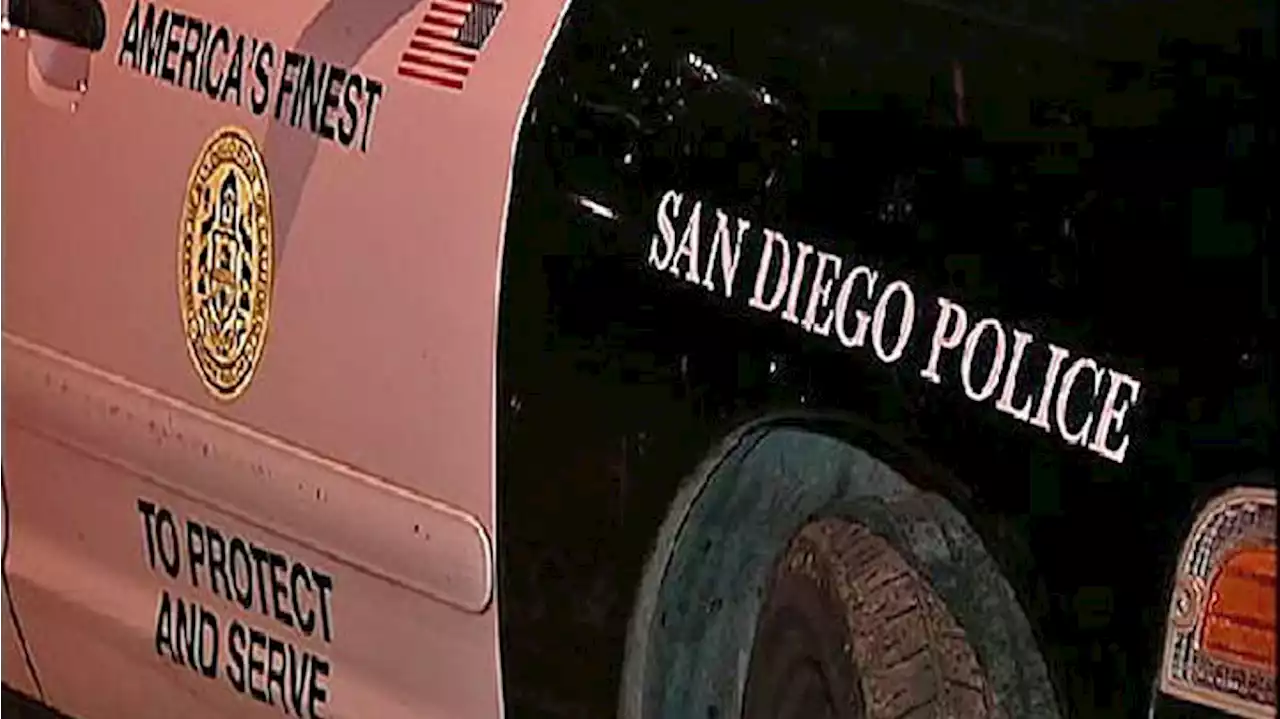 San Diego Paid $31.2M Over 5 Years to Settle Claims Involving City-Owned Vehicles: Report