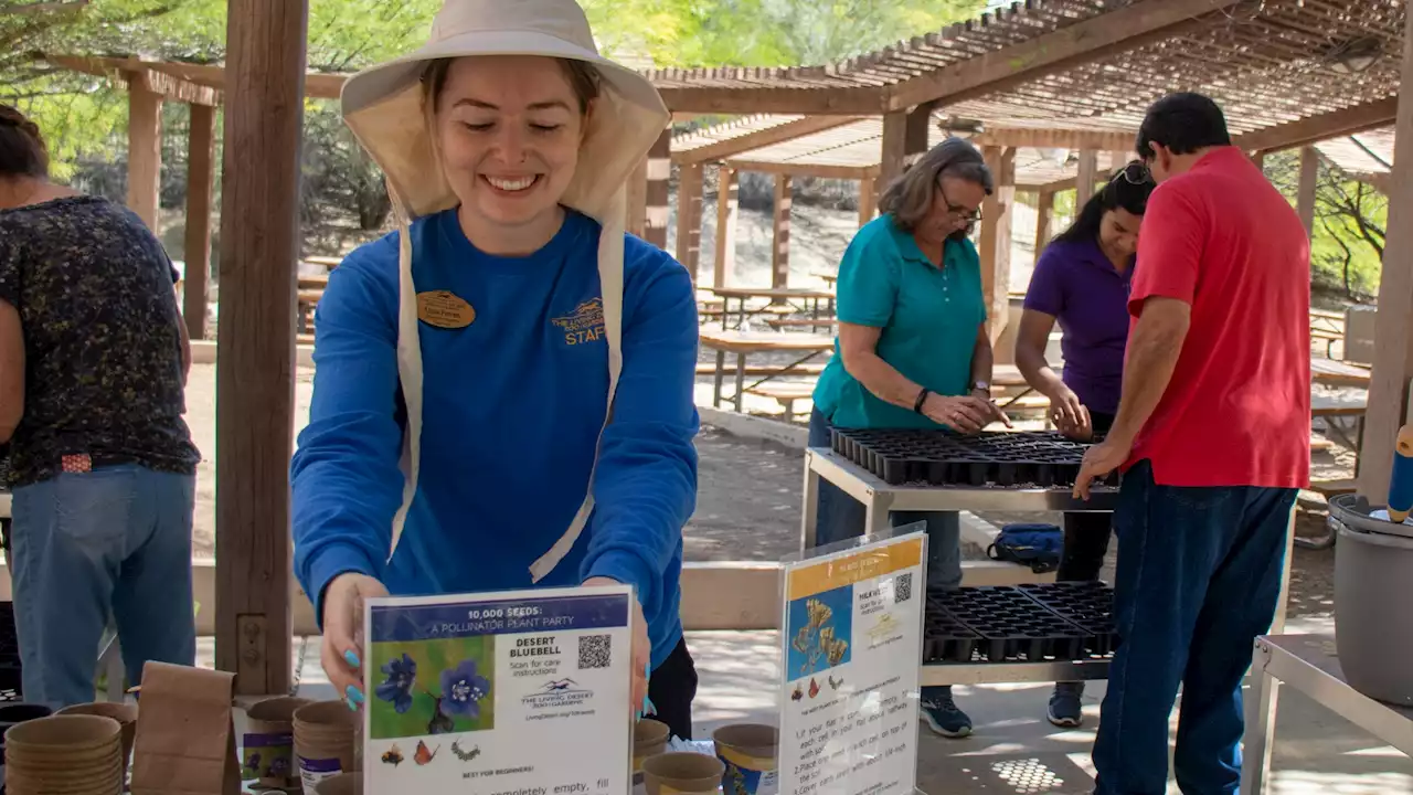 The Living Desert Hopes to Plant 10,000 Seeds in Honor of Earth Day