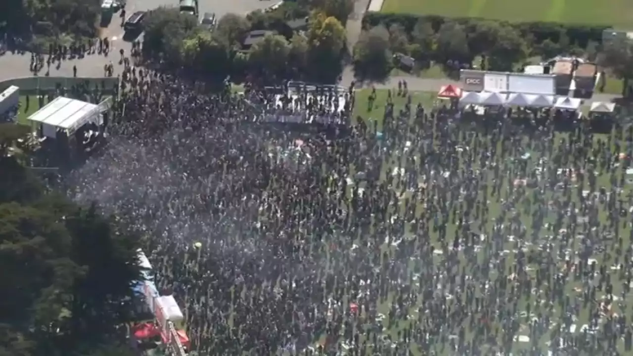 Thousands Show Up for 4/20 Festival at Golden Gate Park