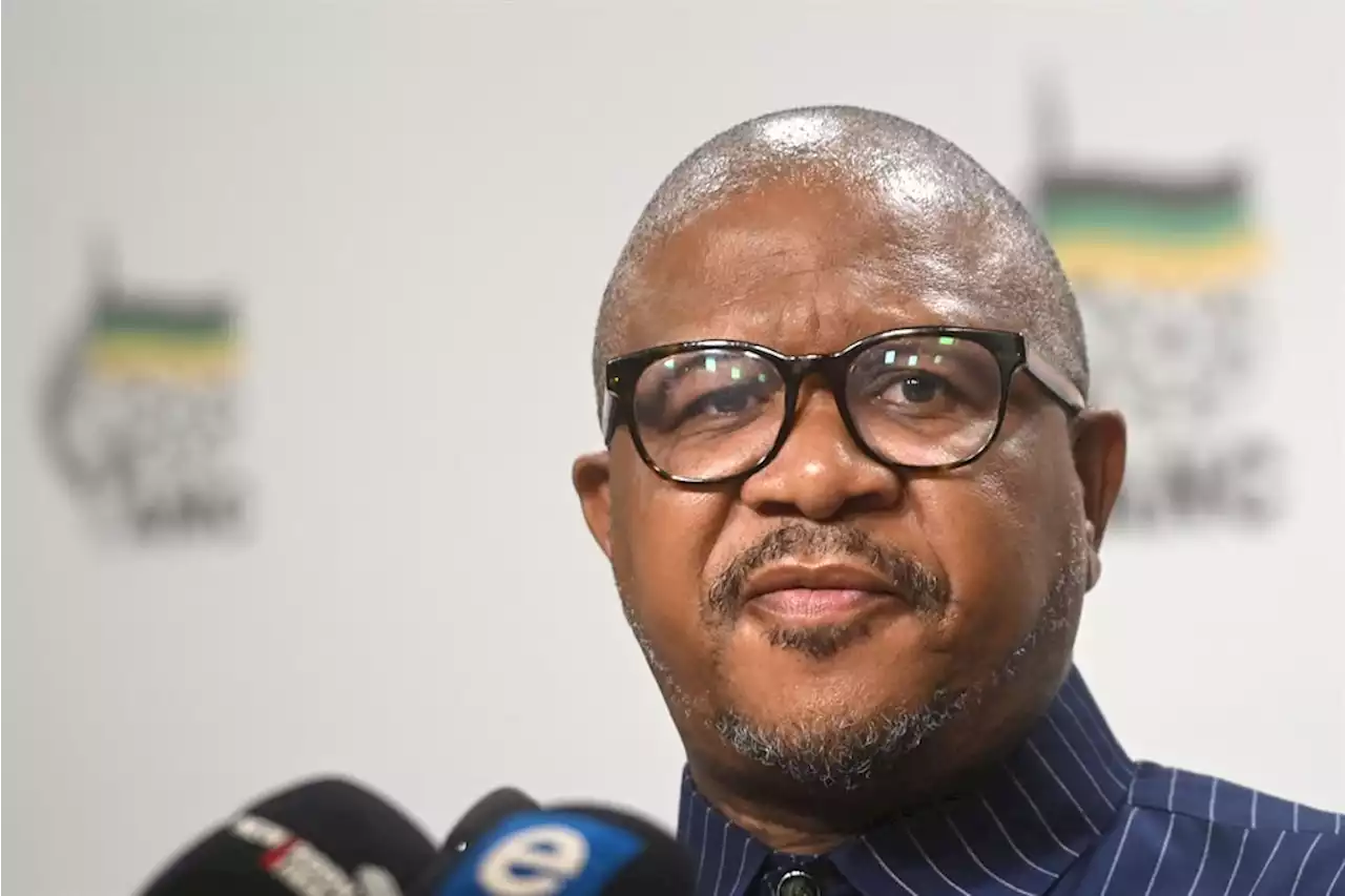 'We don't go cap in hand': Mbalula justifies ANC, EFF partnership in Gauteng coalitions | News24