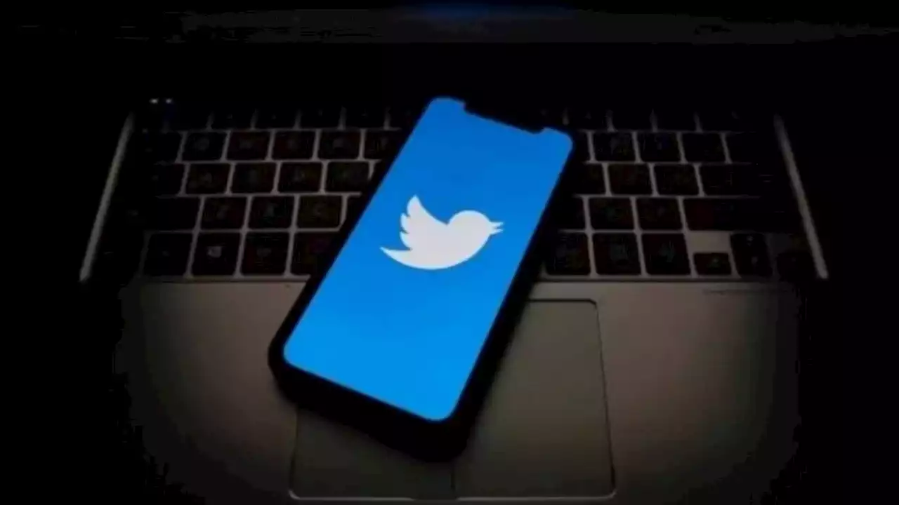 Twitter elimina una política de protección contra el acoso a las personas trans en la red social | Discursos de odio en las redes