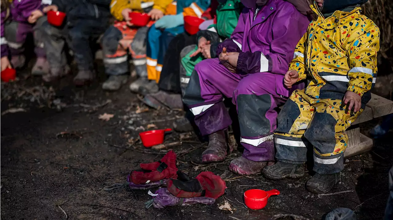 Young kids learn the realities of climate change in forest schools