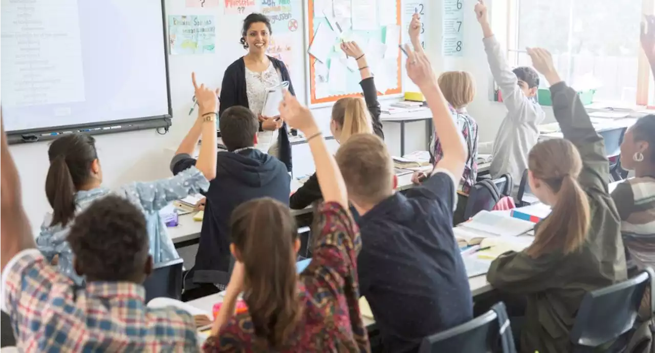 Lanzan en Bogotá importante oportunidad para profesores distritales; cómo aplicar - Pulzo