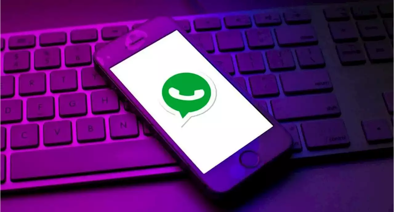 Los 8 ajustes de WhatsApp que debería cambiar de inmediato, por su bien - Pulzo